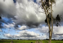 蜂鸟电竞：既是常规赛收官战，也是卡位战！山东VS辽宁大名单：张镇麟缺阵.